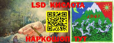 спайс Гатчина
