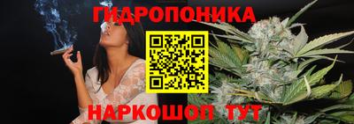 ешки Гай