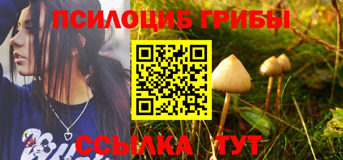 Псилоцибиновые грибы Psilocybe Наро-Фоминск