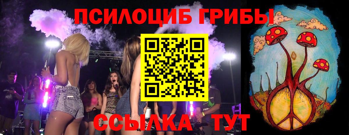 Наро-Фоминск  Псилоцибиновые грибы мицелий  Псилоцибиновые грибы мухоморы  Вход с VPN 